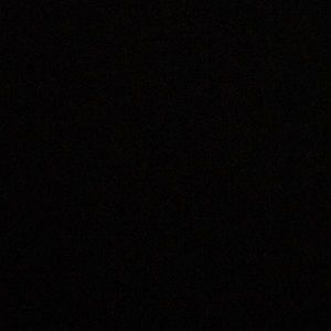 Meet your Posher, Ron